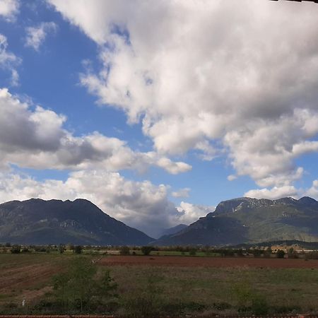Αρχοντικό Παπανικολάου Villa Ligaria  Kültér fotó