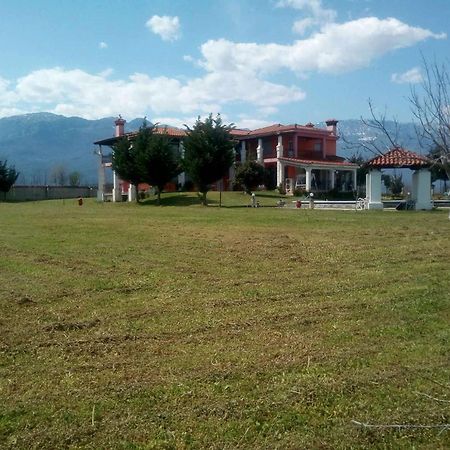 Αρχοντικό Παπανικολάου Villa Ligaria  Kültér fotó