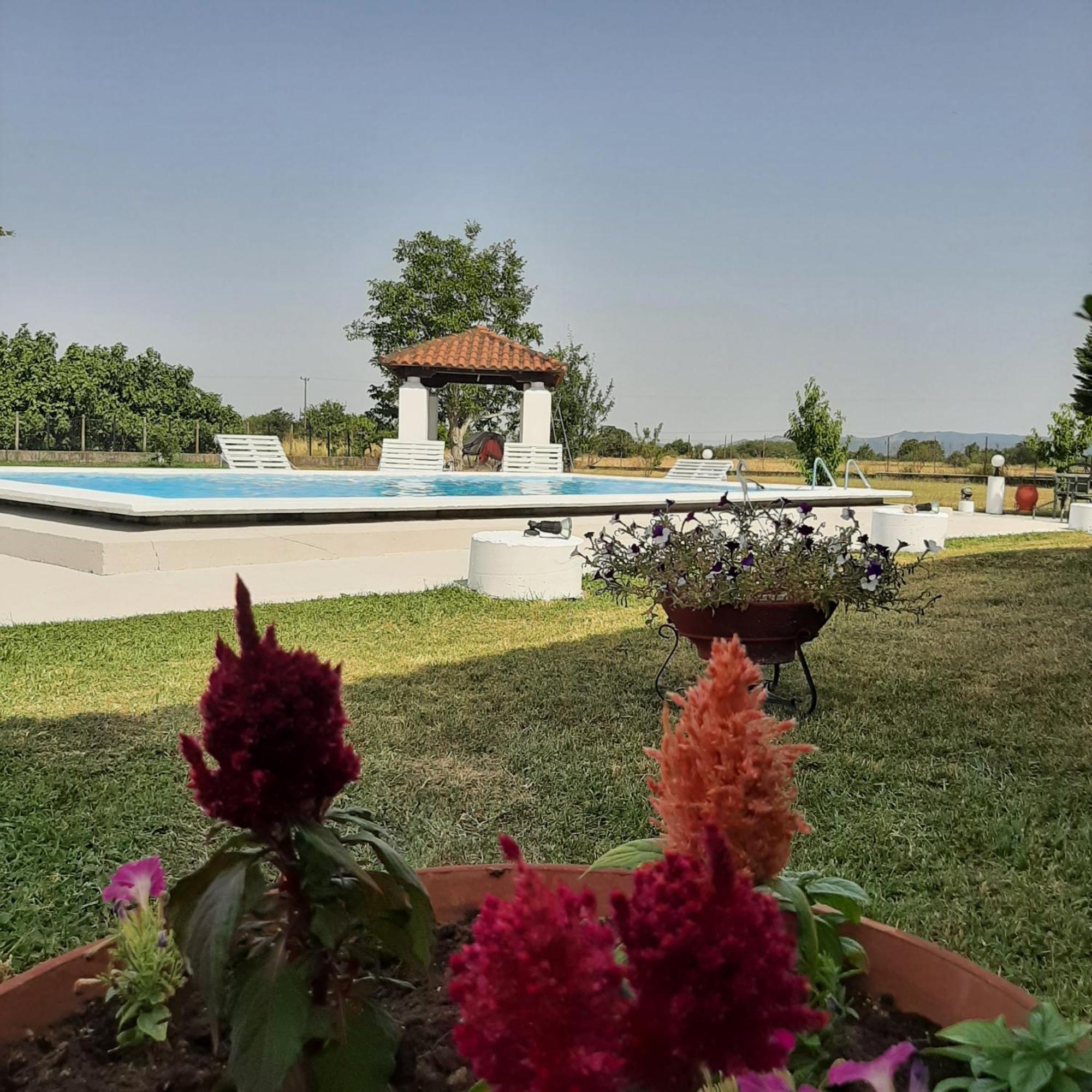 Αρχοντικό Παπανικολάου Villa Ligaria  Kültér fotó